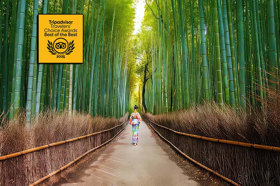 Kyoto: Fushimi, Arashiyama - Bamboo, Monkey, Torii & Secrets - Fushimi Inari Taisha, Torii Gates, and the Mountain-Feel Walk