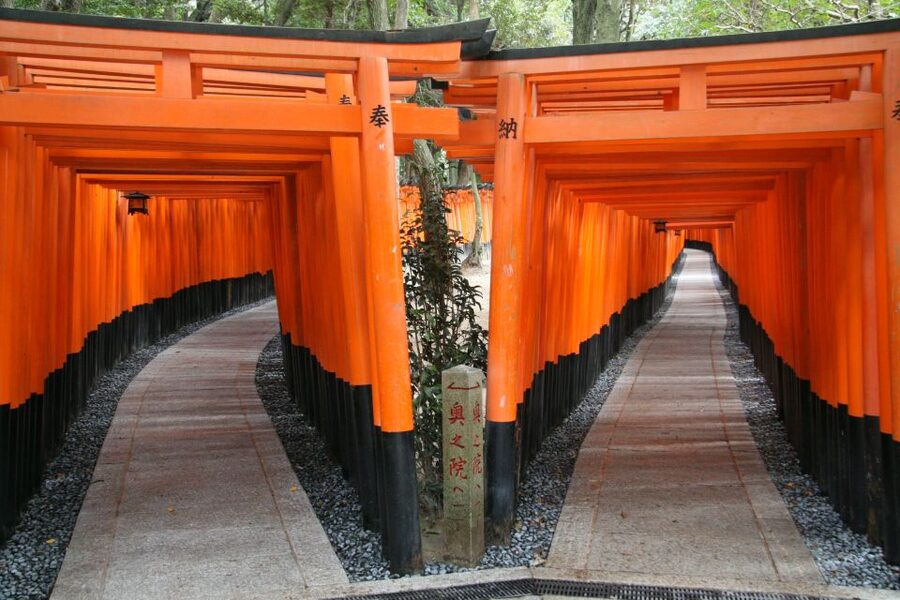 Kyoto: Fushimi Inari, Kinkakuji, Bamboo Grove 1 Day Bus Tour - Why this Kyoto icons day tour makes sense for limited time
