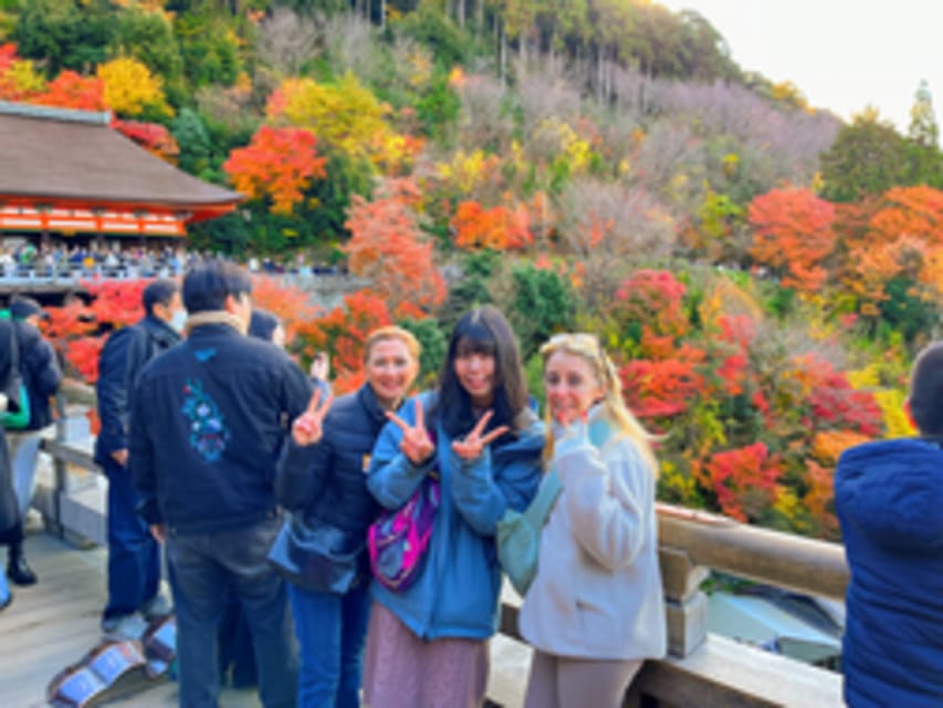 Kyoto: Fushimi Inari, Kinkakuji, Bamboo Grove 1 Day Bus Tour - Sanjusangen-do and the 1001 Kannon statues