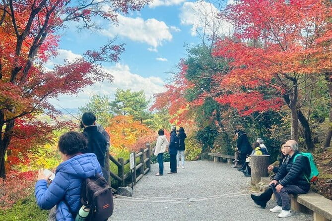 Kyoto: Geisha Dinner & Gion Cultural Walk - How the guide makes or breaks the experience