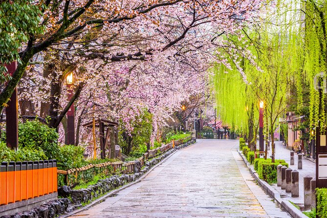 Kyoto Geisha District Walking Tour in Gion - Gion in two hours, and why small-group time matters