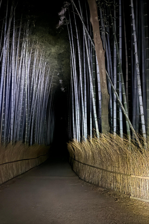 Kyoto: Ghost Tour - Legends, Dark Tales, Bamboo Forest Night - Meeting at Saga-Arashiyama Station: where it starts and how to prep