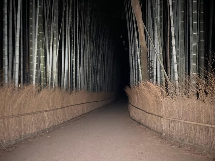 Kyoto: Ghost Tour - Legends, Dark Tales, Bamboo Forest Night - The creepy surprise and the anti-curse QR code