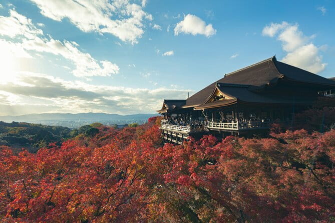 Kyoto Gion Early Morning Walking Tour - Stop 1, Gion Shirakawa: the river side you see before it fills