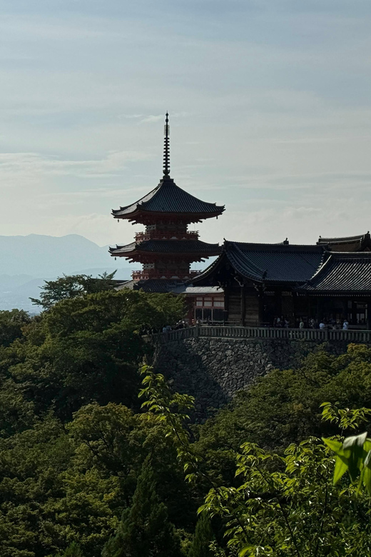 Kyoto: Guided Tour in UNESCO Site, Kiyomizu-dera - 90 Min. - Should you book this Kiyomizu-dera UNESCO guided tour?