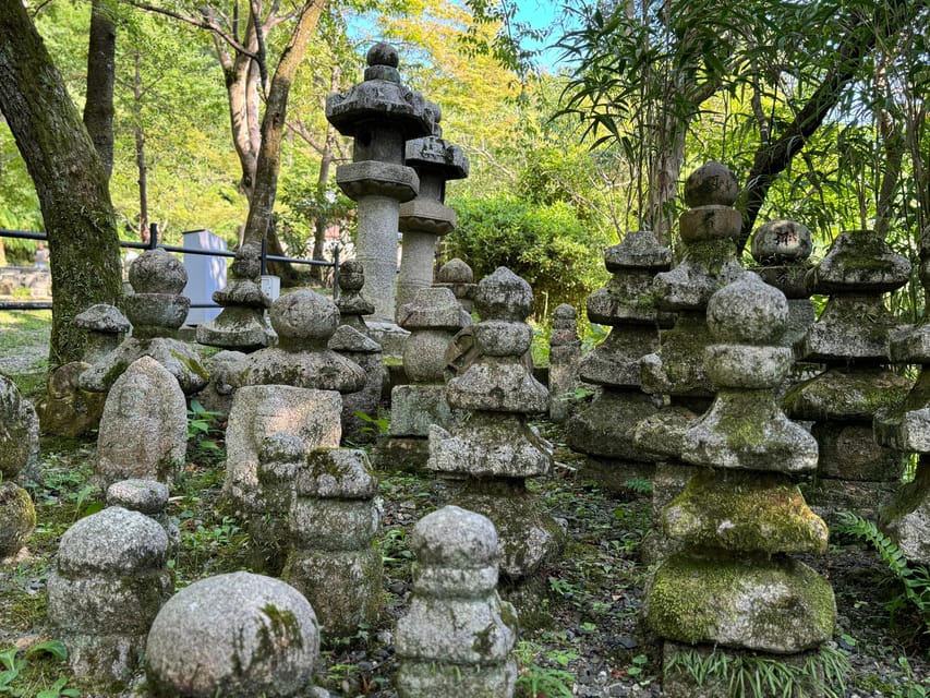 Kyoto: Guided Tour in UNESCO Site, Kiyomizu-dera - 90 Min. - Viewpoints and photo stops: getting Kyoto scenery without wasting time