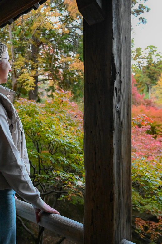 Kyoto: Half-day Guided Bike Tour with Fushimi Inari - Meeting up near Kyoto JR Station without losing your morning