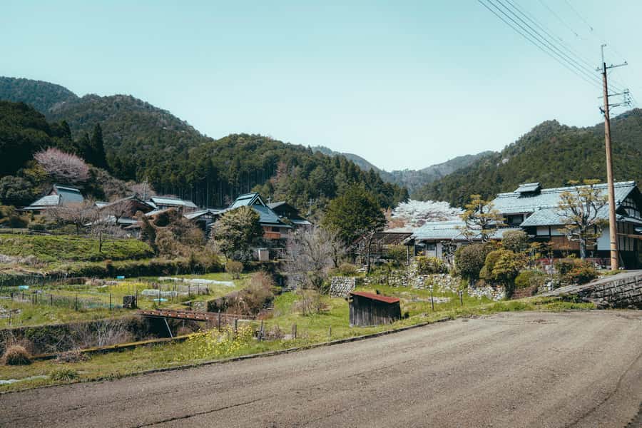 Kyoto: Hidden Gems and Local Neighborhoods - Temple and shrine time without the crowd crush