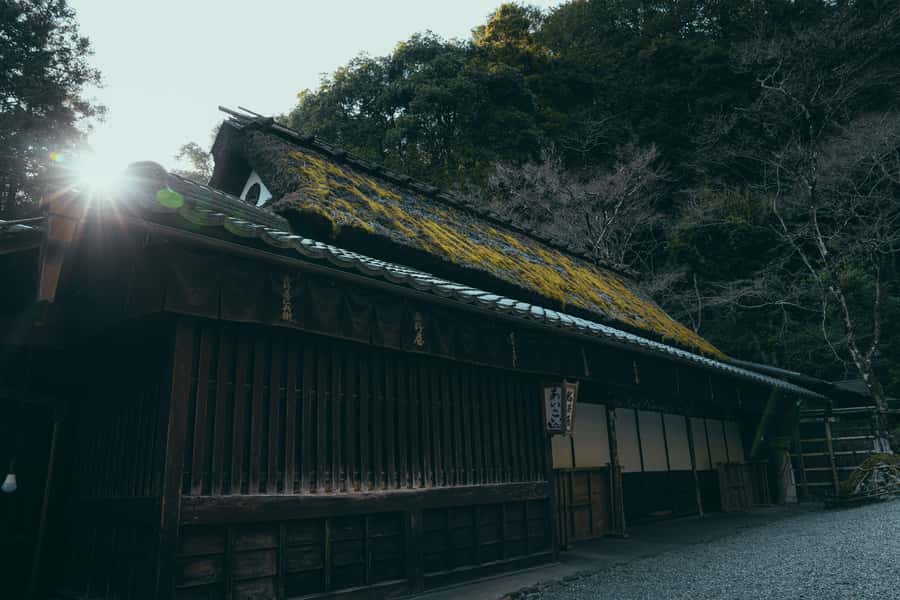 Kyoto: Hidden Gems and Local Neighborhoods - Neighborhood streets that show everyday Kyoto