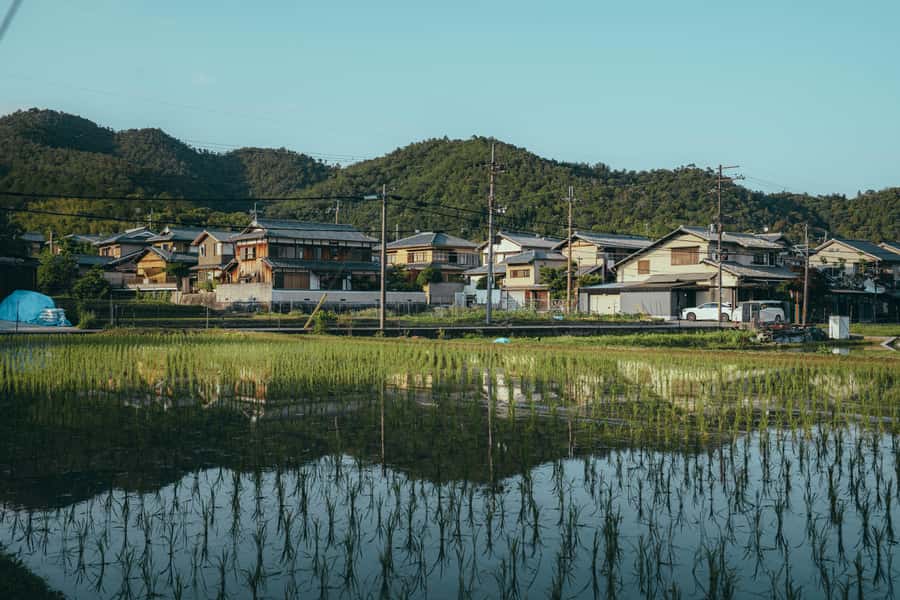 Kyoto: Hidden Gems and Local Neighborhoods - Price and value: what $44 buys in Kyoto