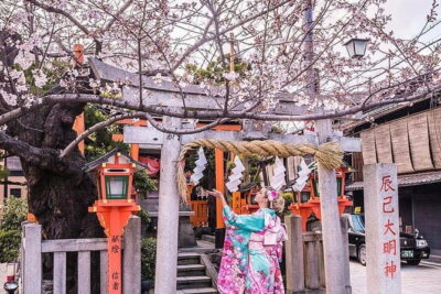 Kyoto Highlight Private Tour with English Speaking Driver