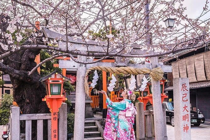 Kyoto Highlight Private Tour with English Speaking Driver - Fushimi Inari-taisha: The Torii Walk You Can Go as Long as You Want