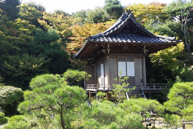 Kyoto Highlights: Arashiyama & Fushimi Inari by Private Car - What the day actually feels like: timing, pacing, and walking level