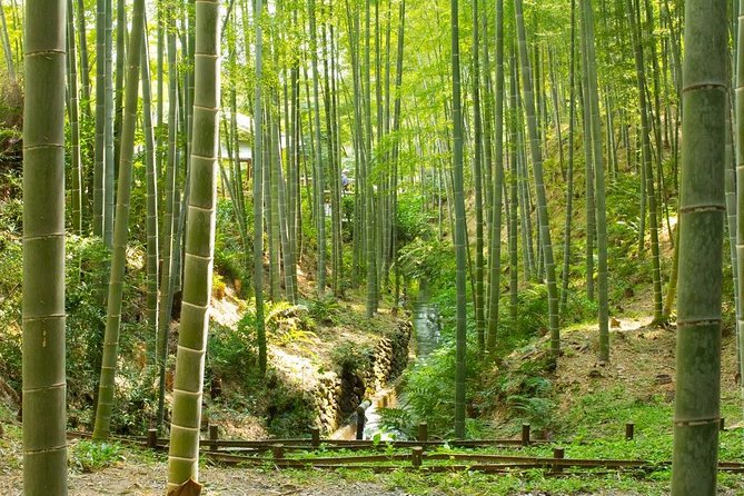 Kyoto Highlights: Arashiyama & Fushimi Inari by Private Car - What you should bring and plan for (so the day stays fun)