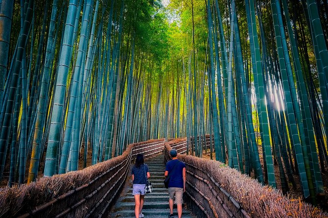 Kyoto Highlights & Hidden Gems in Nature (Private Van Eng-Guide) - Price and what your private minivan includes