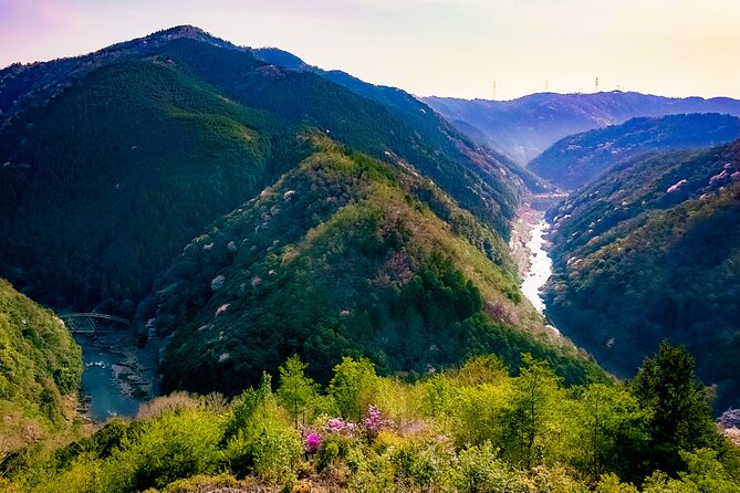 Kyoto Highlights & Hidden Gems in Nature (Private Van Eng-Guide) - Mountain viewpoints near Ogura and Hozukyo Gorge