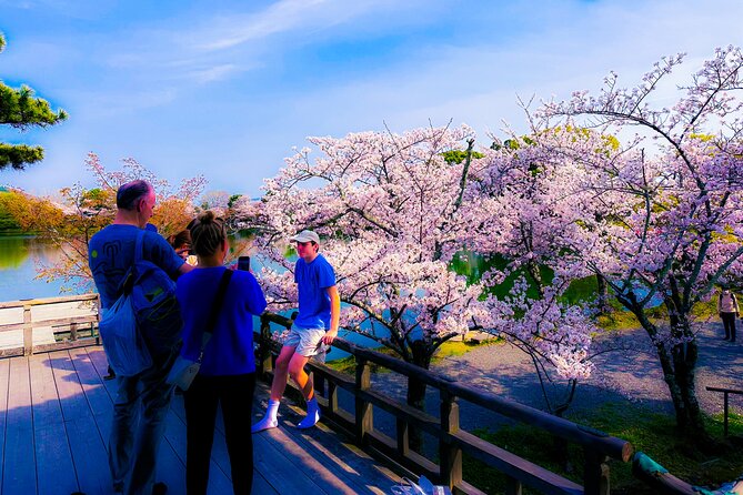 Kyoto Highlights & Hidden Gems in Nature (Private Van Eng-Guide) - Shinto cedar tree stops at Nakagawa-hachimangū and Kitayama Big Daisugi
