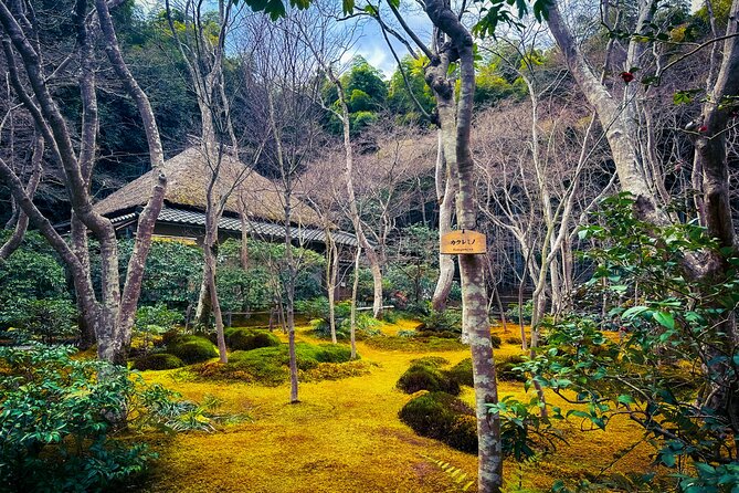 Kyoto Highlights & Hidden Gems in Nature (Private Van Eng-Guide) - Heian Jingu to Fushimi Inari, with a later-day crowd advantage