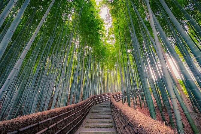 Kyoto Highlights & Hidden Gems in Nature (Private Van Eng-Guide) - Practical tips for stairs, photos, and timing