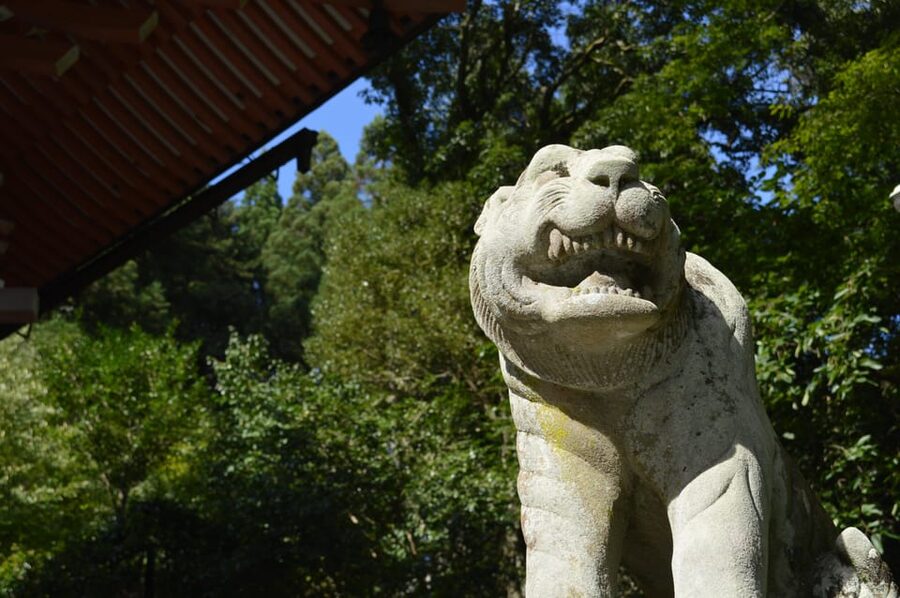 Kyoto: Hike and Hot Springs in Kurama - Should you book Kyoto: Hike and Hot Springs in Kurama?
