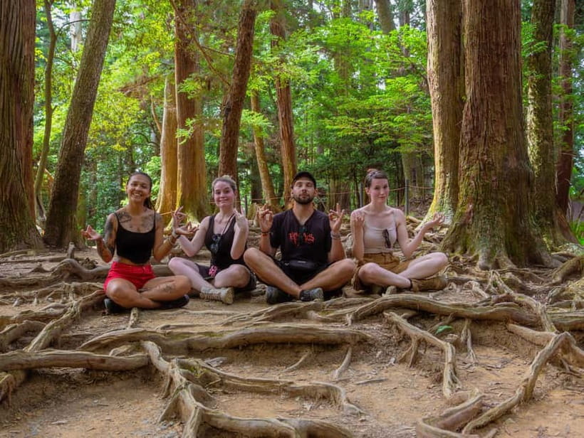 Kyoto: Hike and Hot Springs in Kurama - The hike up Kurama: cedar air, steady steps, and where the views show up