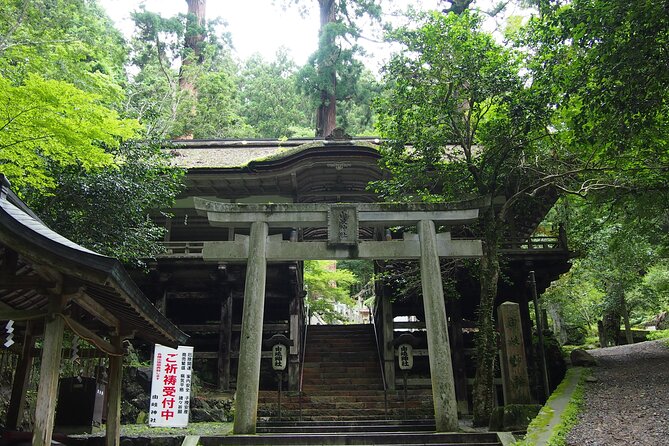 Kyoto Hiking Tour: The Nature and Legends of Kurama and Kibune - Kurama-dera: the forest walk to a famous temple