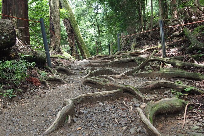 Kyoto Hiking Tour: The Nature and Legends of Kurama and Kibune - Okunoin Maoden: demons, mystery, and short time-on-task