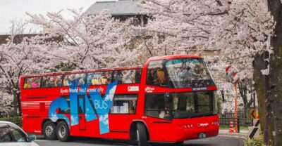 Hop-on Hop-off Sightseeing Bus Ticket