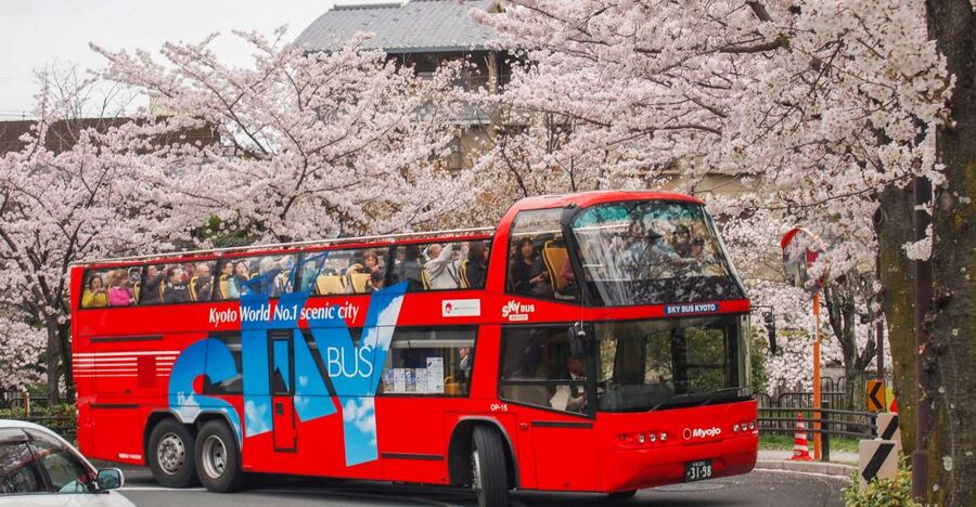 Kyoto: Hop-on Hop-off Sightseeing Bus Ticket - Hop-on, hop-off freedom on an open-top double-decker