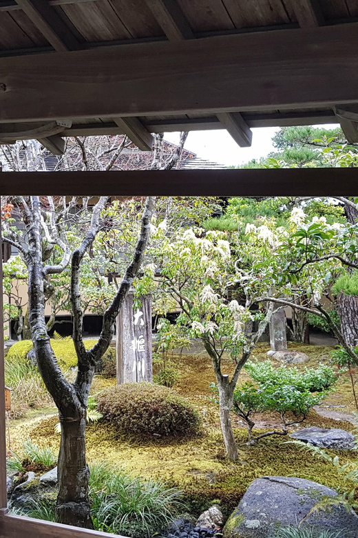 Kyoto: Immersive Arashiyama & Fushimi Inari by Private Car - How Private Guides Improve Your Day (Beyond the Script)