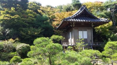 Immersive Arashiyama & Fushimi Inari by Private Car