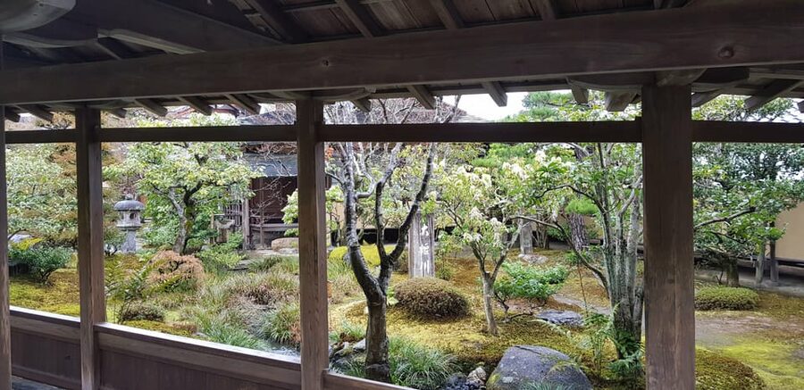 Kyoto: Immersive Arashiyama & Fushimi Inari by Private Car - Arashiyama Stroll Time: Bamboo Without the Random Wandering