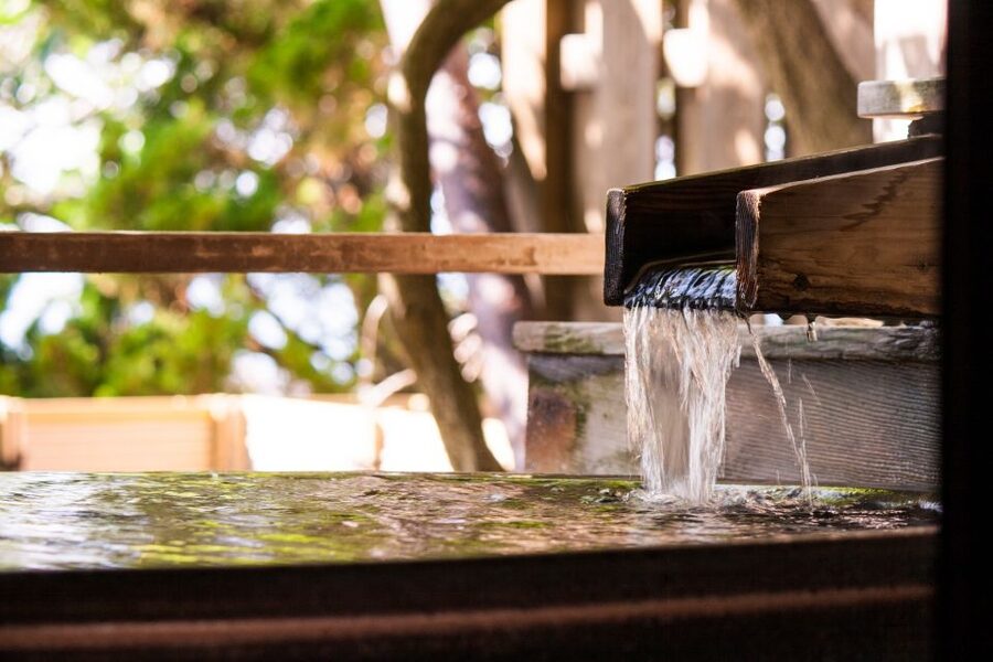 Kyoto: Immersive Arashiyama & Fushimi Inari by Private Car - Fushimi Inari-taisha: Torii Gates and the Best Kind of Time Budget