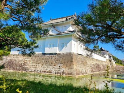 Imperial Palace & Nijo Castle Guided Walking Tour