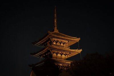 Izakaya Bars Guided Walking Tour