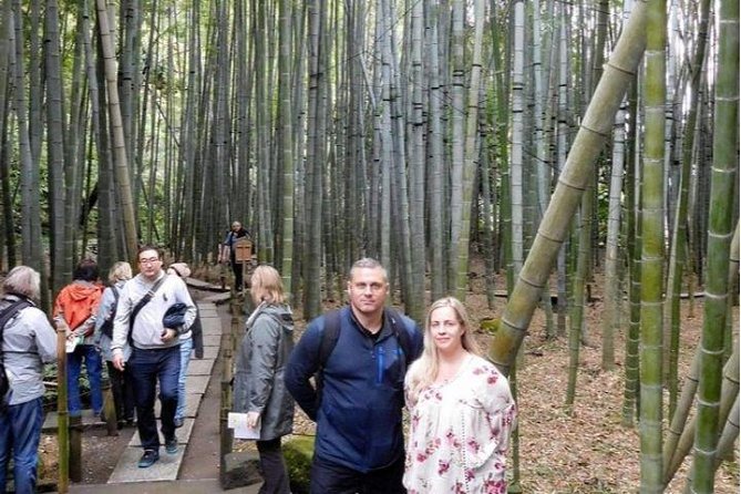 Kyoto Japanese Garden Lover's Private Tour with Government-Licensed Guide - How to pick your 3 to 4 gardens for the day you want