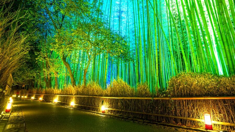 Kyoto: Japanese Gardens Private Customizable Tour - Kyoto Zen gardens: what you learn beyond the photo spots