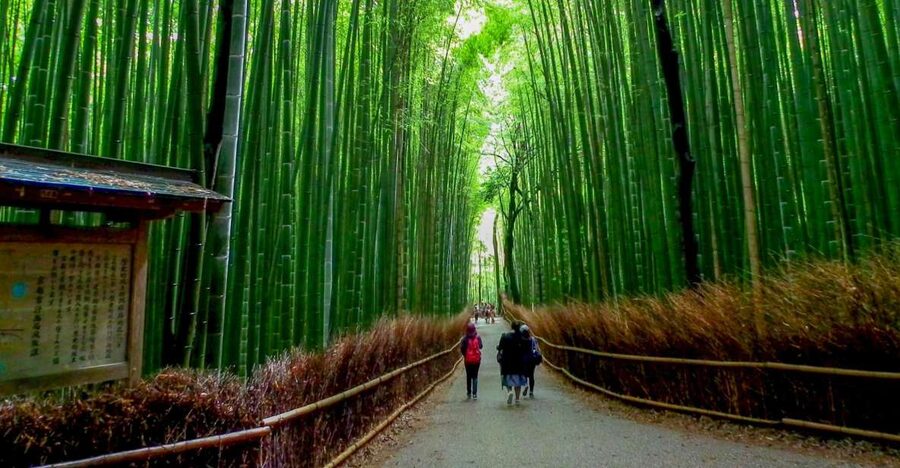 Kyoto: Japanese Gardens Private Customizable Tour - Arashiyama Bamboo Forest to Kinkakuji Temple, the classic start many people want