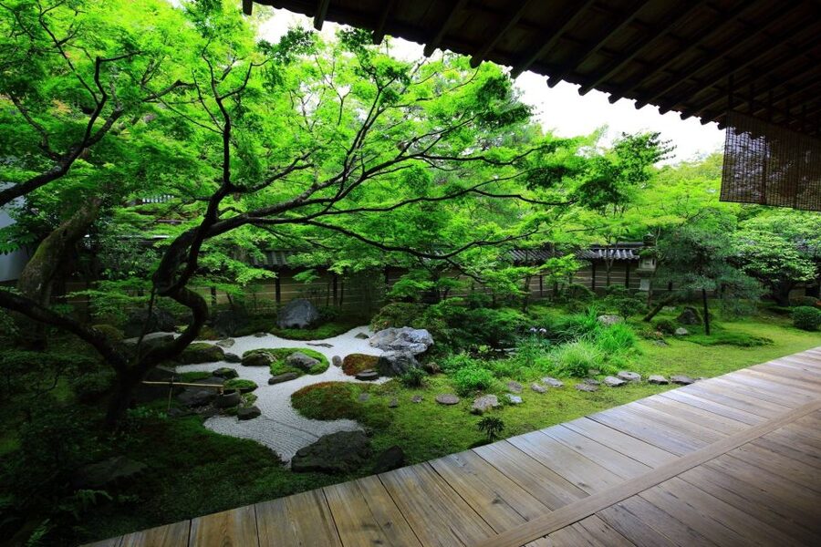 Kyoto: Japanese Gardens Private Customizable Tour - Ginkakuji Temple and Ryoanji Temple, comparing Zen garden styles in one day