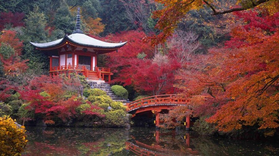 Kyoto: Japanese Gardens Private Customizable Tour - Daitoku-ji, Kokedera Suzumusidera, and Kyoto Botanical Garden, where you can get off the main rhythm