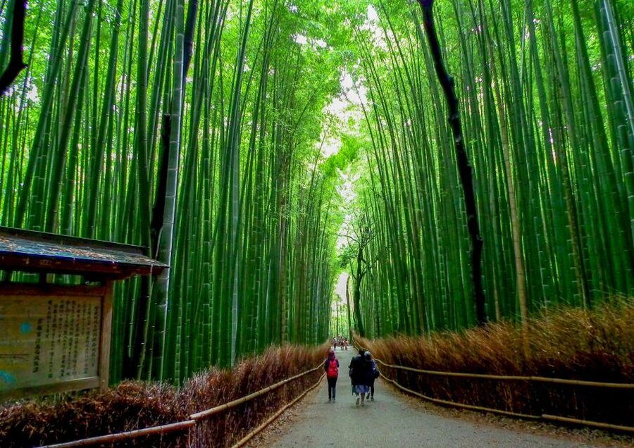 Kyoto: Japanese Gardens Private Customizable Tour - How a customizable 6-hour route keeps Kyoto from feeling like a maze