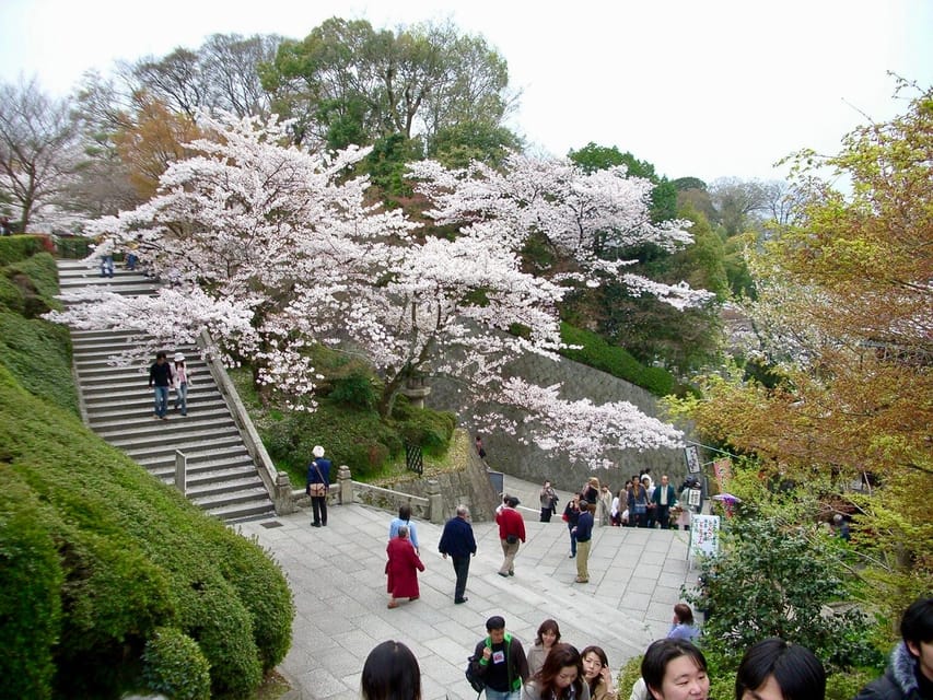 Kyoto: Kiyomizudera, Higashiyama and Yasaka Discovery Tour - Key highlights you will feel fast