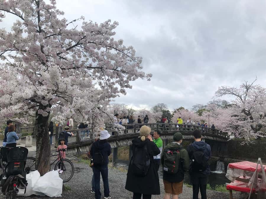 Kyoto: Memory Kyoto E-Bike Tour - Tenryuji Temple: where a UNESCO garden rewards slow attention