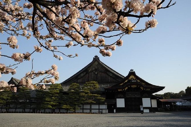 Kyoto Morning Tour from Kyoto or Osaka - Meeting point and end point, and why you should arrive early
