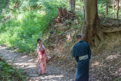 Kyoto, Nara and Osaka private up to 9 pax picked up from Kyoto