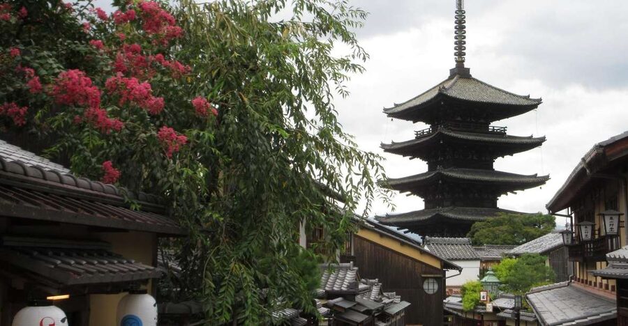 KYOTO-NARA: Giant Buddha Deer Pagoda "Geisya" (Italian, full day) - The guide experience that really makes this tour work