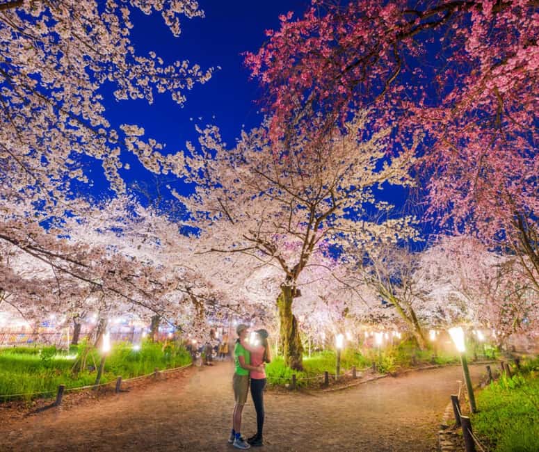 Kyoto & Nara Private Customized, Guided Tour - Guide style matters, so ask for the kind of day you want