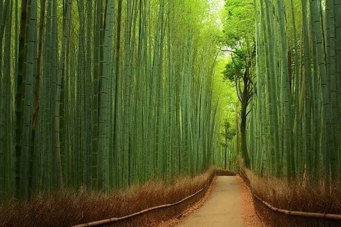 Kyoto & Nara Private customized tour with English speaking Guide - Getting Started at Osaka Station, and Pickup Where You Actually Are