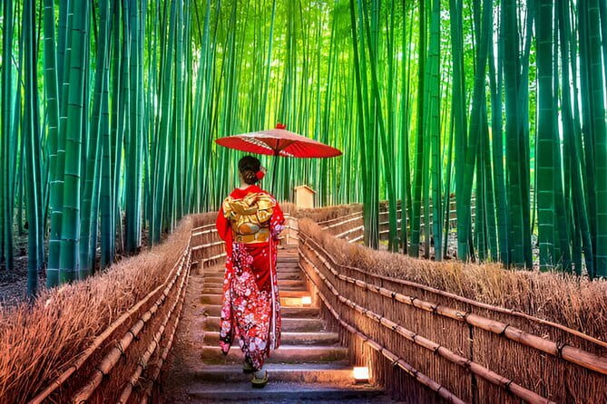 Kyoto & Nara Private Day Tour - How the Osaka-to-Kyoto-to-Nara format keeps your day simple