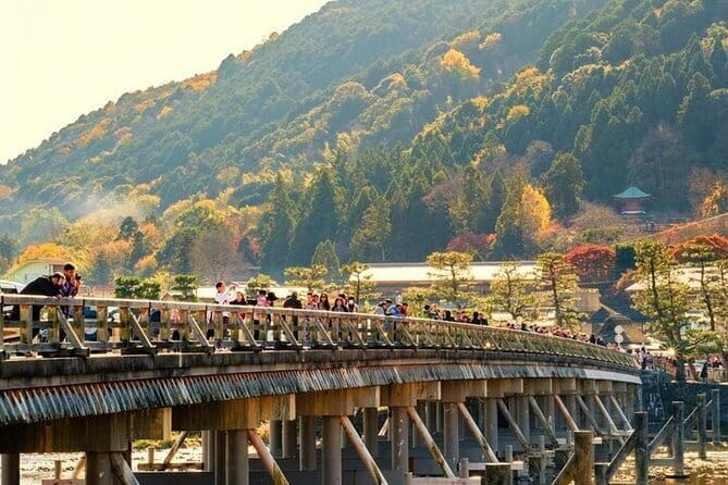 Kyoto&Nara Private Highlights Tour with English driver Pickup - Kyoto stop 4: Gion evening vibes without the headache